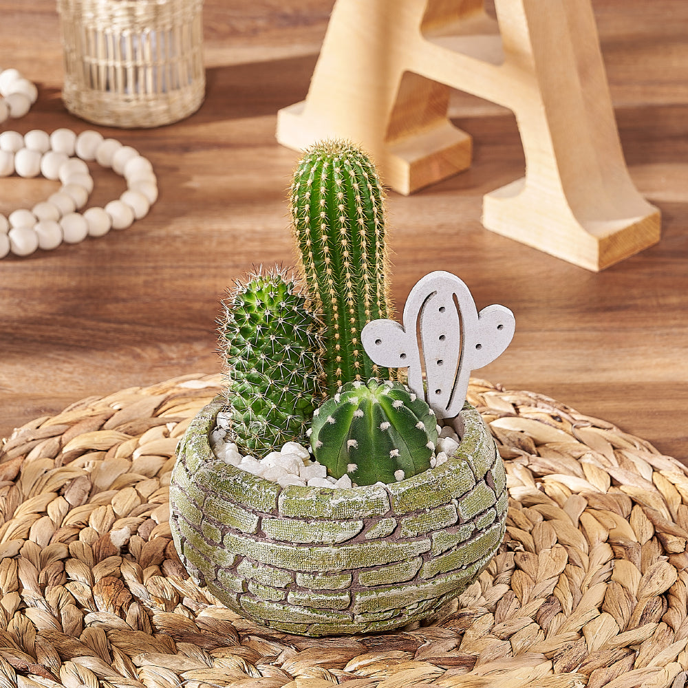 Easy Care Cactus Trio Brick Planter – how the gift is presented