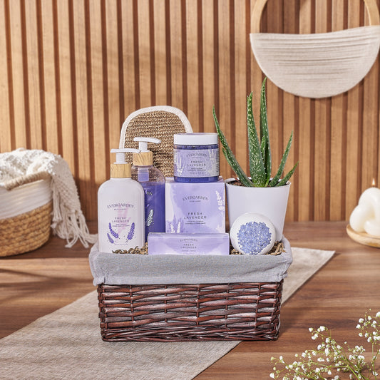 Natural Beauty Succulent & Spa Gift Set – Spa gift baskets – Boston delivery