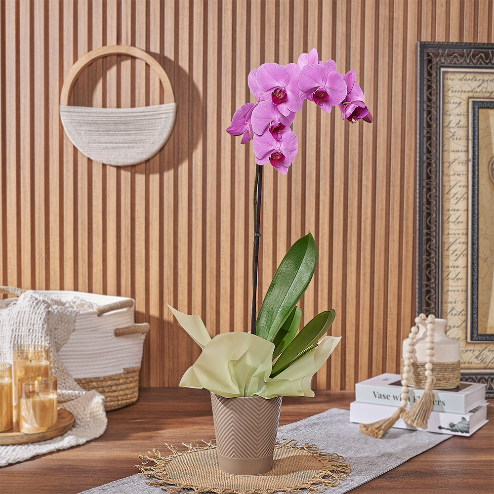 Pink Phalaenopsis Orchid Ceramic Pot Plant – how the gift is presented