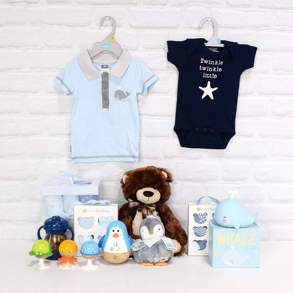 Deluxe Basket for a Baby Boy - Boston Baskets - Boston Delivery