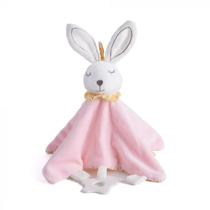 Pink Plush Bunny Blanket - Boston Baskets - Boston Delivery