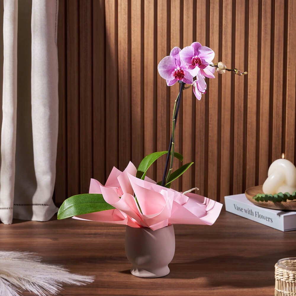 Phalaenopsis Orchid Potted Plant for Year-Round Indoor Beauty – how the gift is presented