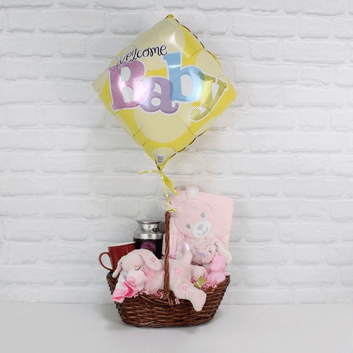 Welcome Newborn Baby Girl Gift Basket from Boston Baskets - Baby Gift Set - Boston Delivery