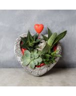 Rock Garden Succulents of Love, floral gift baskets, gift baskets, succulent gift baskets
